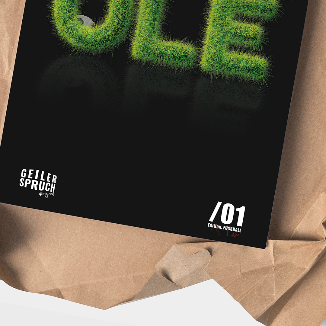 Poster »Olé, Olé Olé Olé«