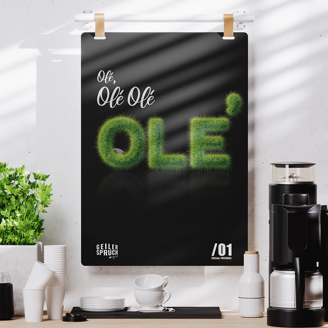 Poster »Olé, Olé Olé Olé«