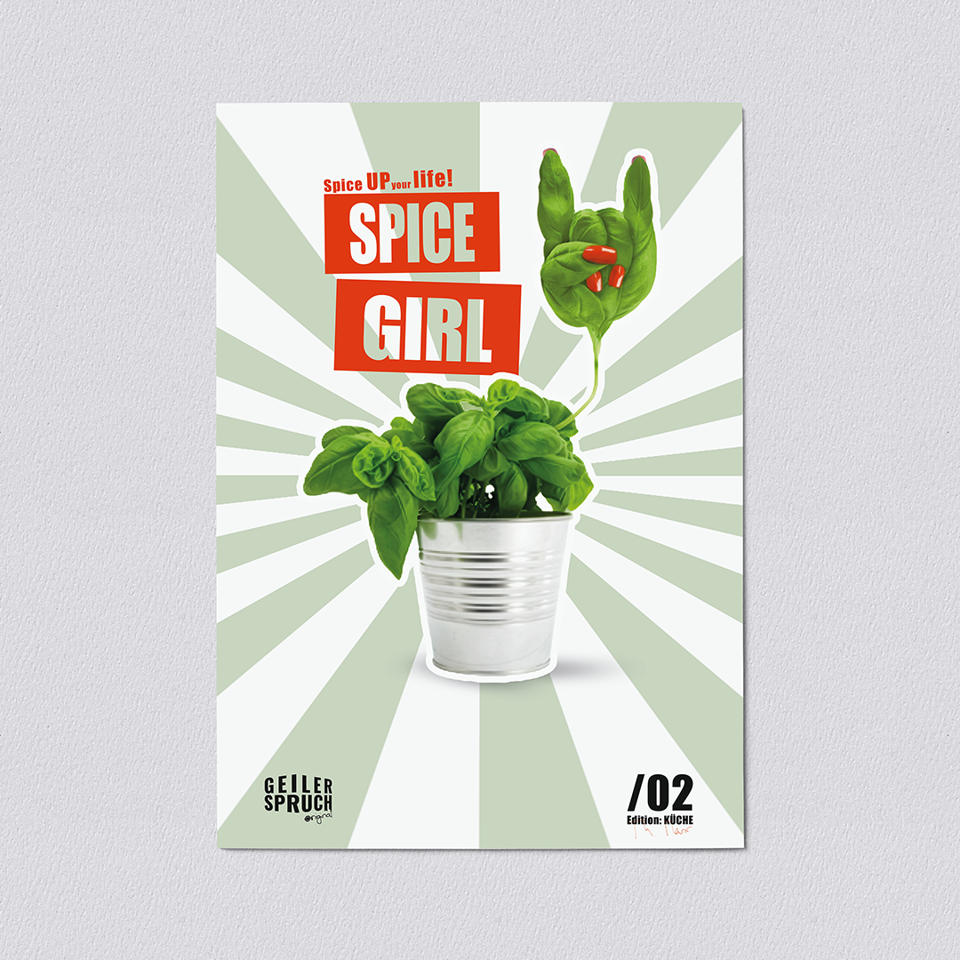 Poster »Spice Girl - Spice Up Your Life«